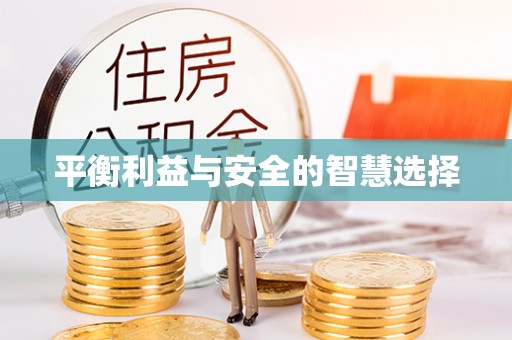 秀洲平衡利益与安全的智慧选择