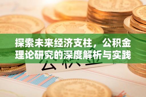 秀洲探索未来经济支柱，公积金理论研究的深度解析与实践意义
