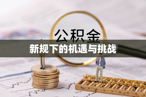秀洲新规下的机遇与挑战