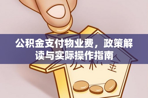秀洲公积金支付物业费，政策解读与实际操作指南