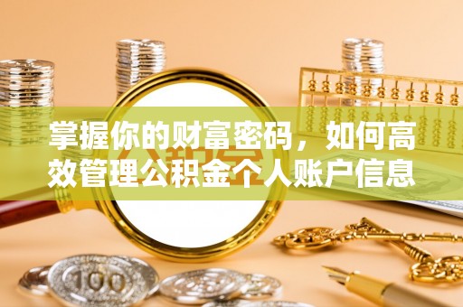 秀洲掌握你的财富密码，如何高效管理公积金个人账户信息
