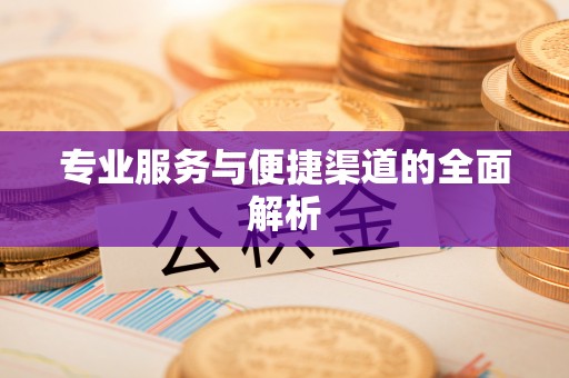 秀洲专业服务与便捷渠道的全面解析