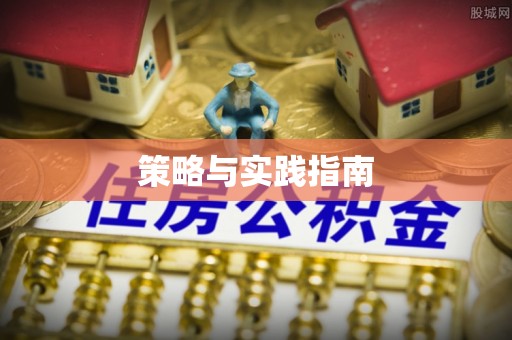 秀洲策略与实践指南
