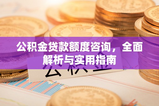 秀洲公积金贷款额度咨询，全面解析与实用指南