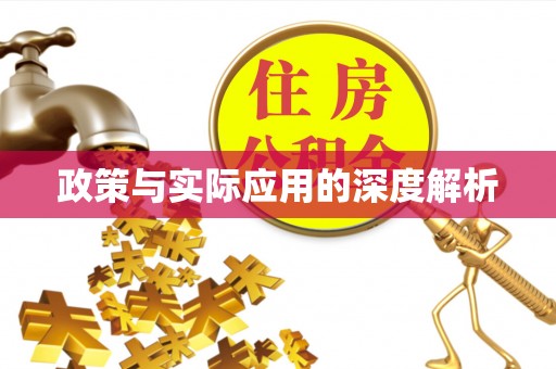 秀洲政策与实际应用的深度解析