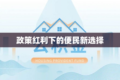 秀洲政策红利下的便民新选择