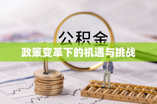 秀洲政策变革下的机遇与挑战