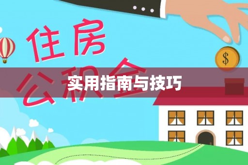 秀洲实用指南与技巧