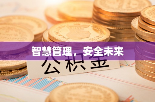 秀洲智慧管理，安全未来