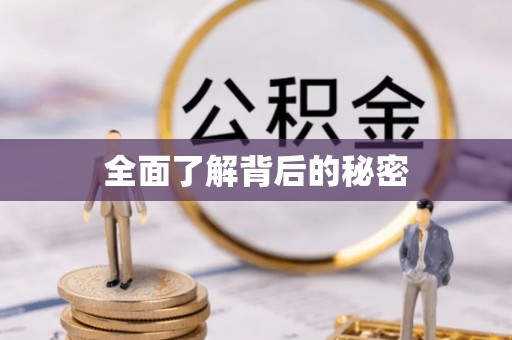 秀洲全面了解背后的秘密