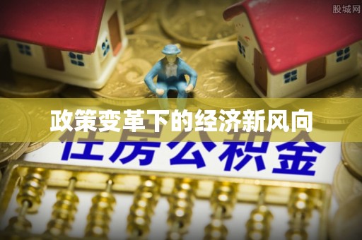 秀洲政策变革下的经济新风向