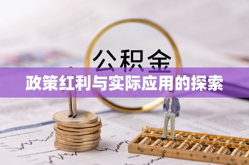 秀洲政策红利与实际应用的探索