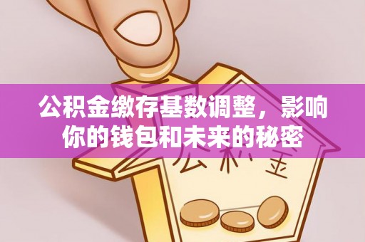 秀洲公积金缴存基数调整，影响你的钱包和未来的秘密