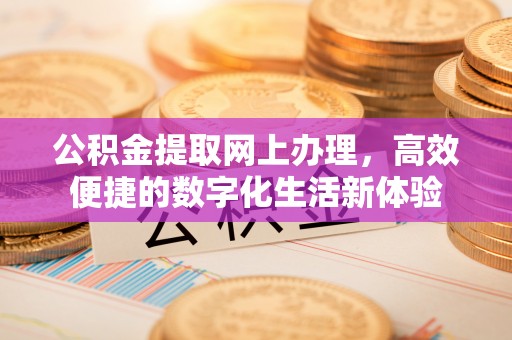 秀洲公积金提取网上办理，高效便捷的数字化生活新体验
