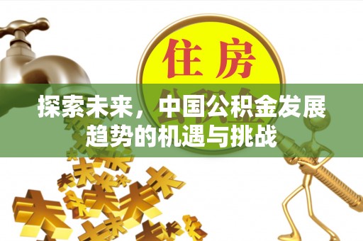秀洲探索未来，中国公积金发展趋势的机遇与挑战