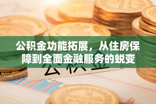 秀洲公积金功能拓展，从住房保障到全面金融服务的蜕变