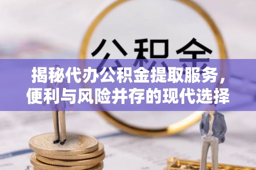 秀洲揭秘代办公积金提取服务，便利与风险并存的现代选择