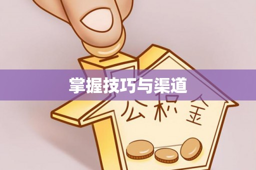 秀洲掌握技巧与渠道