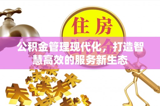 秀洲公积金管理现代化，打造智慧高效的服务新生态