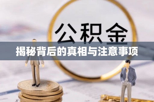 秀洲揭秘背后的真相与注意事项