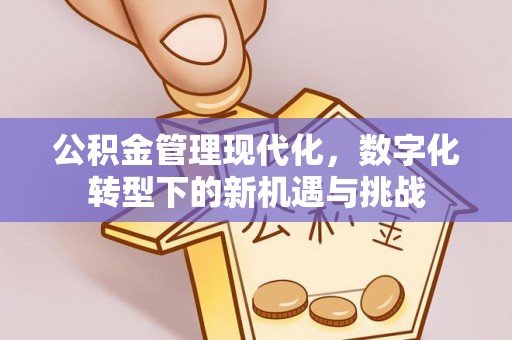 秀洲公积金管理现代化，数字化转型下的新机遇与挑战