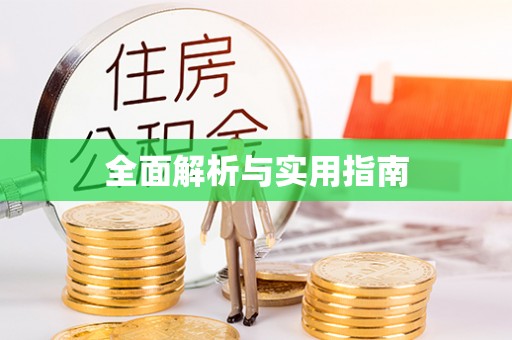 秀洲全面解析与实用指南
