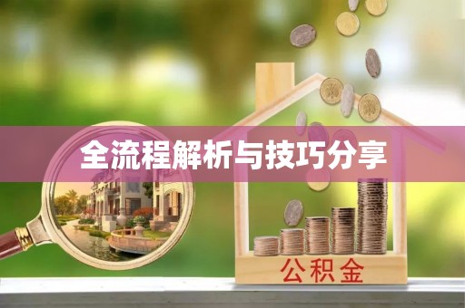 秀洲全流程解析与技巧分享